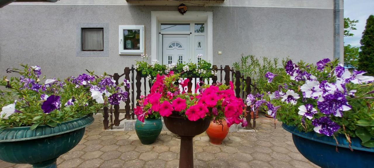 Guest House Dunavski Raj Kostol Eksteriør billede